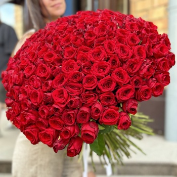 201 красная роза Premium 60 см.