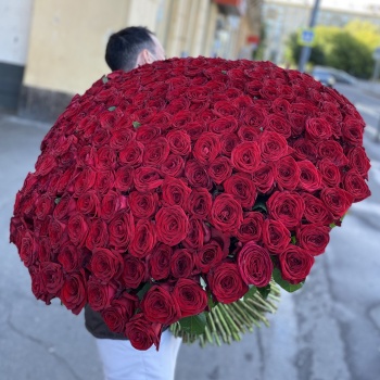 301 красная роза Premium 60 см.