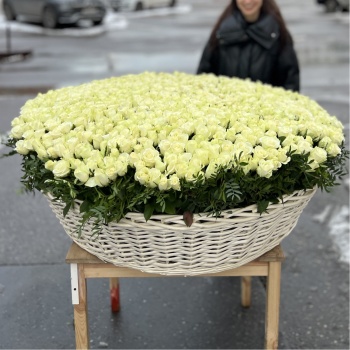 1001 белая роза в корзине MAX