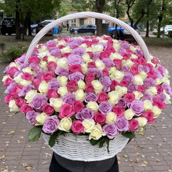 301 роза в корзине Нежный микс