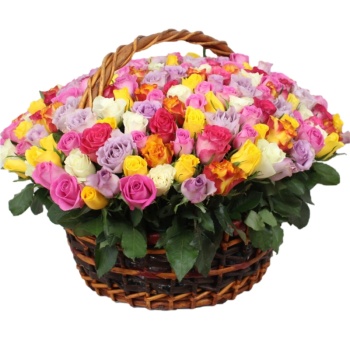 Букет MIX из 201 розы в корзине