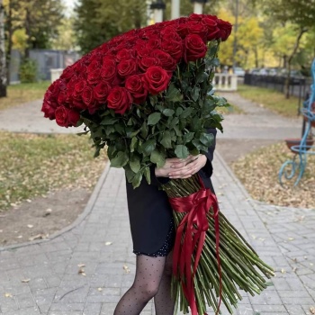 101 красная роза Premium 100 см.