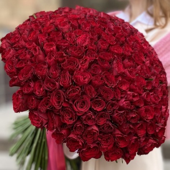 301 красная роза Premium 50 см.