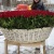 1001 красная роза в корзине MAX
