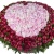 Сердце из пионов в корзине Сердце из пионов в корзине