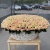 1001 нежно-розовая роза в корзине MAX 1001 нежно-розовая роза в корзине MAX