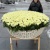 1001 белая роза в корзине MAX 1001 белая роза в корзине MAX