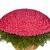 Корзина из 501 розовой розы. Корзина из 501 розовой розы.